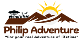 Logo New Philip Adventure